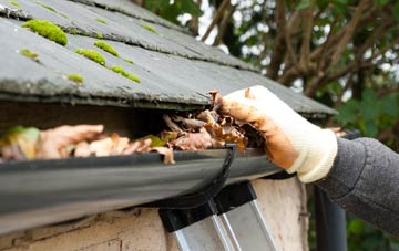 gutter cleaning Kirby Cane, Norfolk
